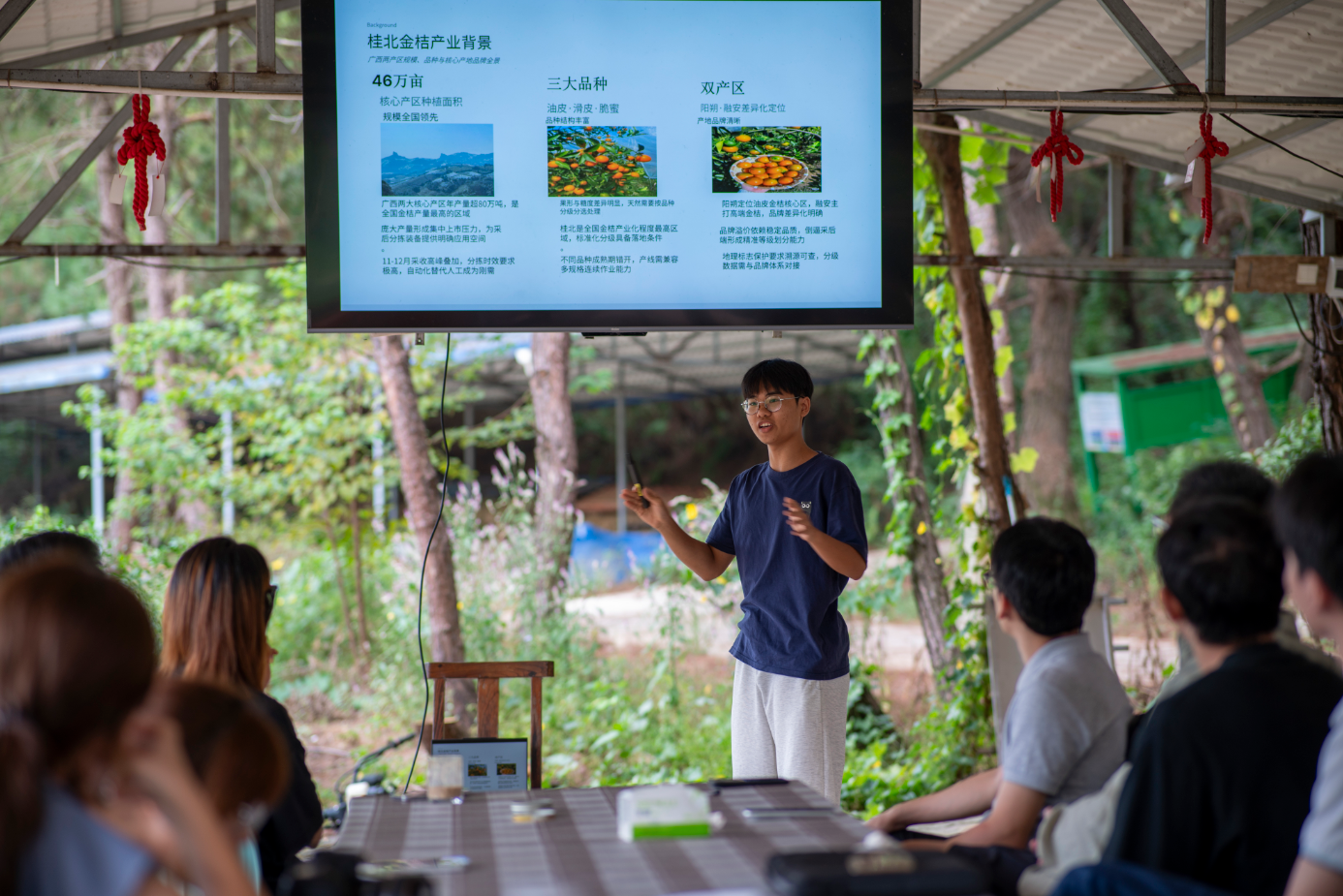 本科生教育丨我院师生赴广西琦程农林科技有限公司香茅农场调研